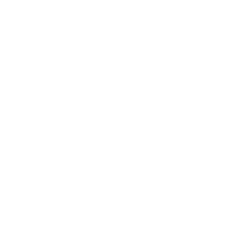 dminformatica-bianco-trasparente