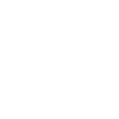lssistemi-bianco-trasparente