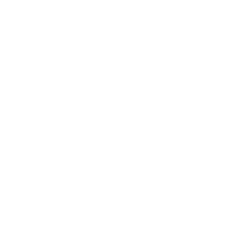 condterm-torino